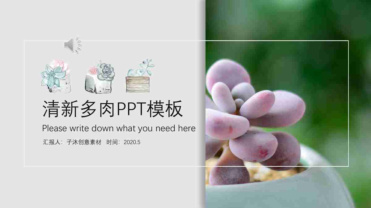 清新多肉叶模板