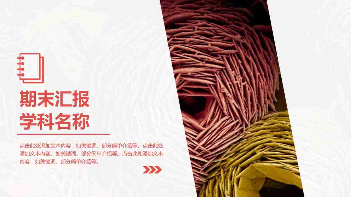 学习汇报PPT模板