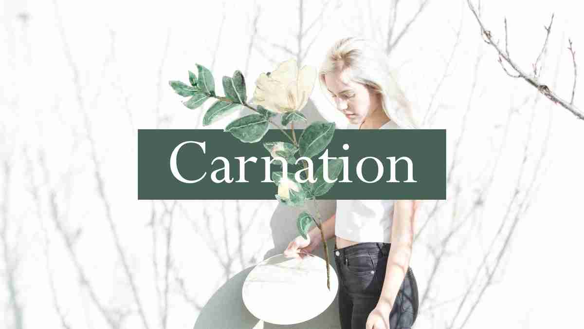 自然风商务演示文稿模板