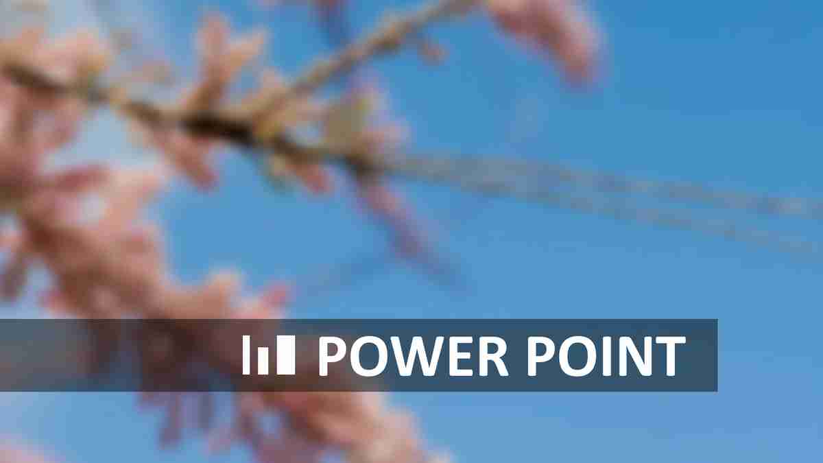 浪漫樱花主题PPT模板