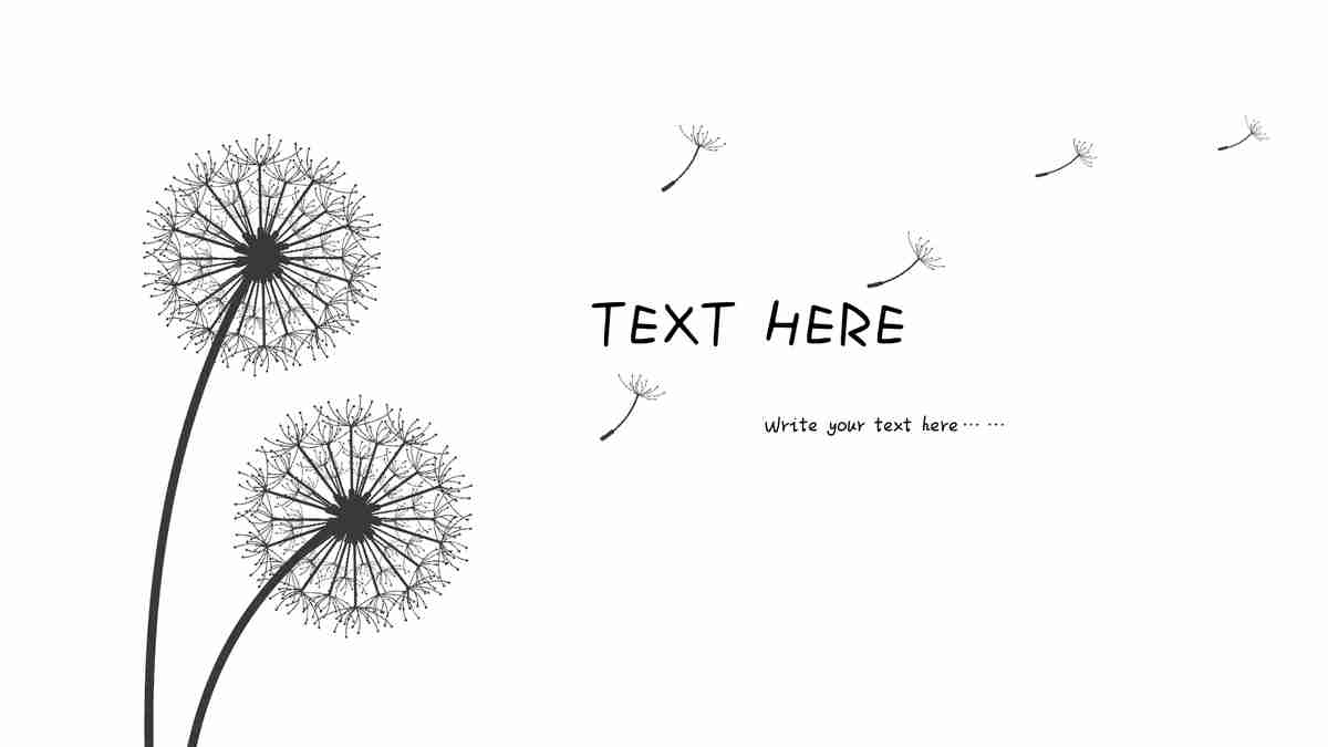 蒲公英主题PPT模板