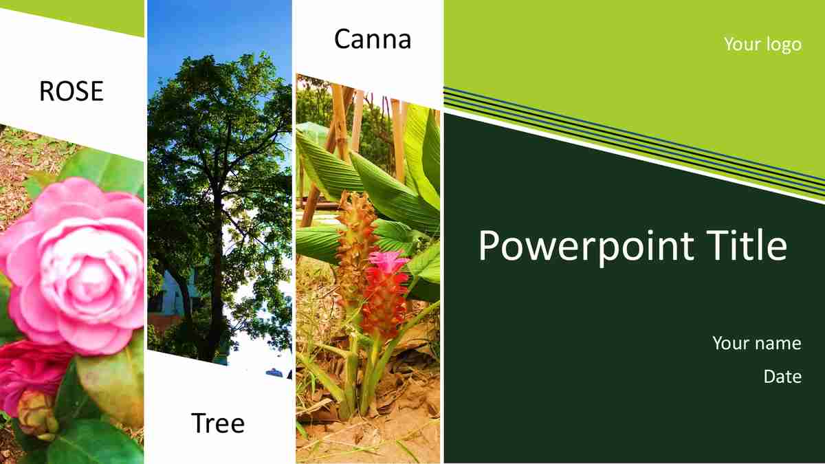 自然风光与数据分析相结合的PPT模板