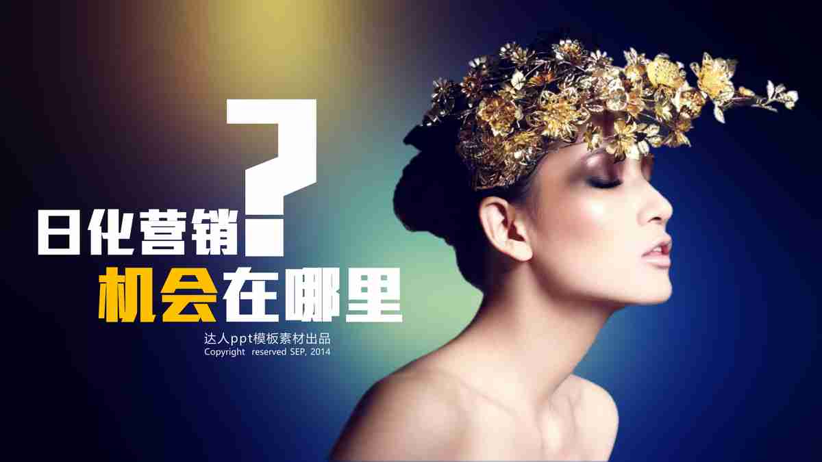 商务策略与市场推广专业PPT模板