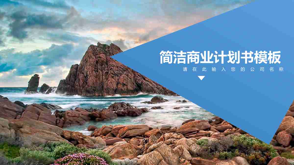 简洁商业计划书模板