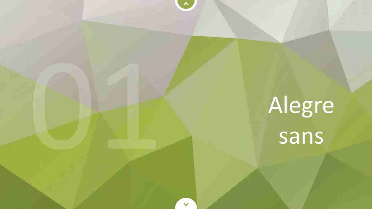 多彩几何风格PPT模板