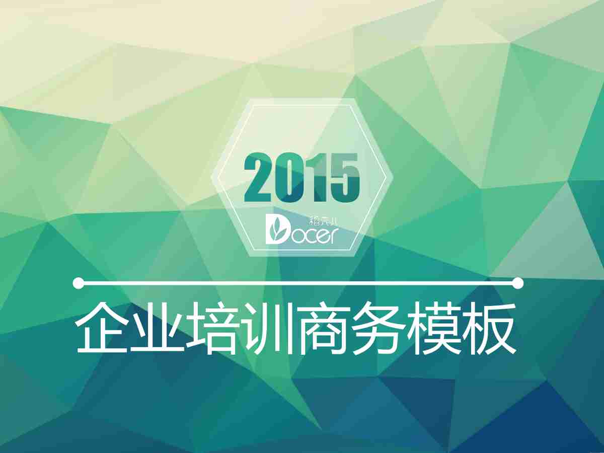 企业2019年度报告