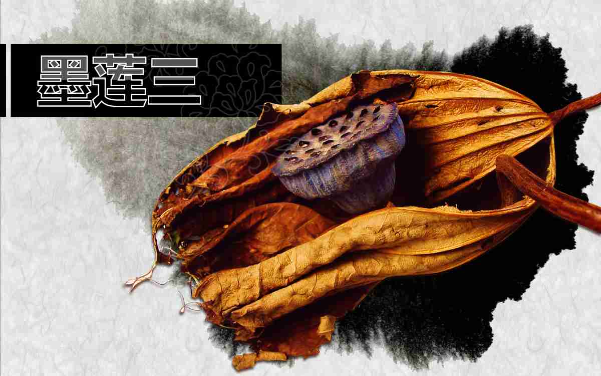 水墨荷花主题PPT模板