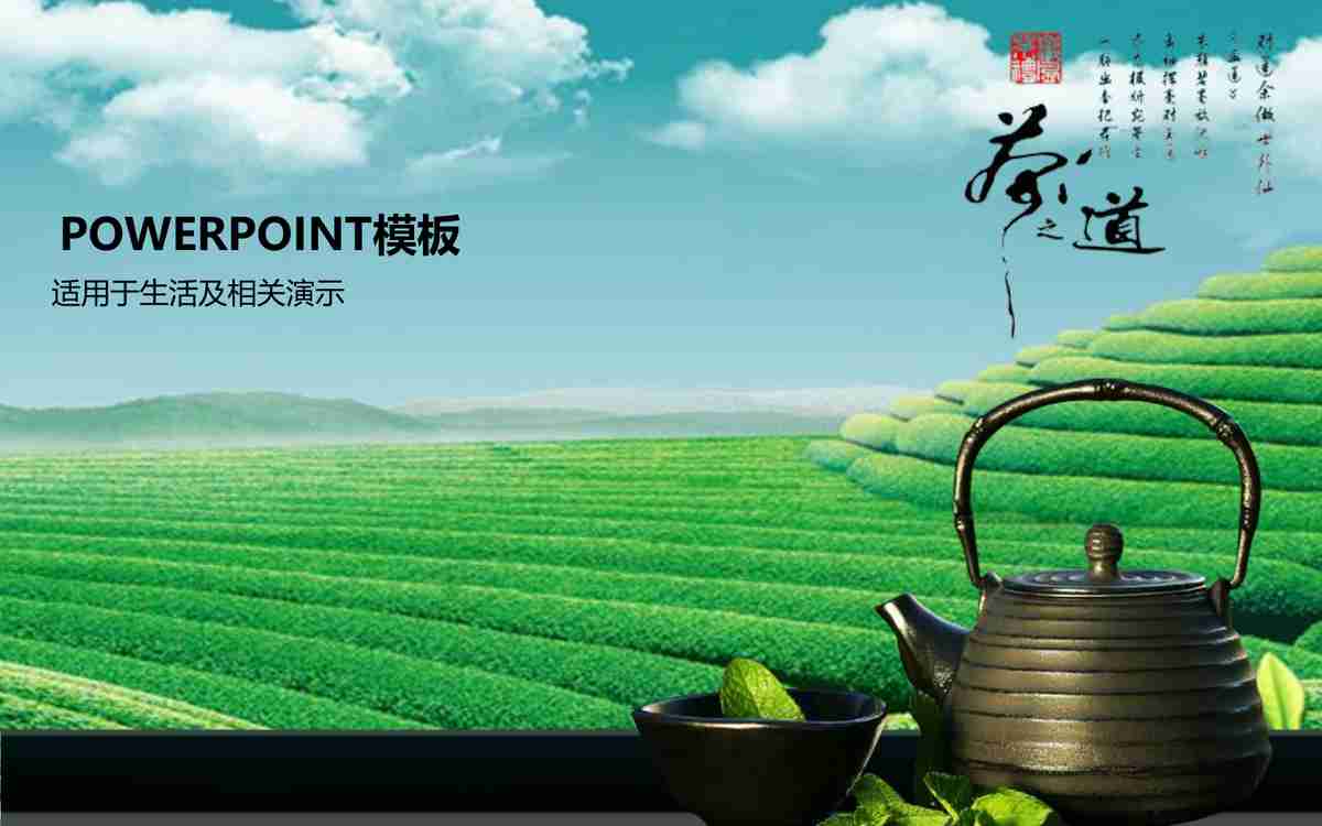 上海锐普广告有限公司精美PPT模板