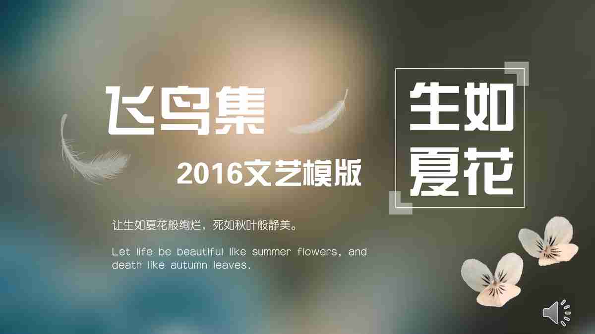 飞鸟集2016文艺模版