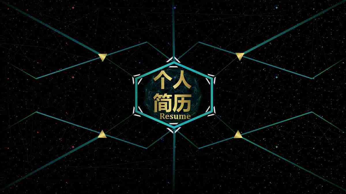 未来无限可能——TheDawn的个人简历