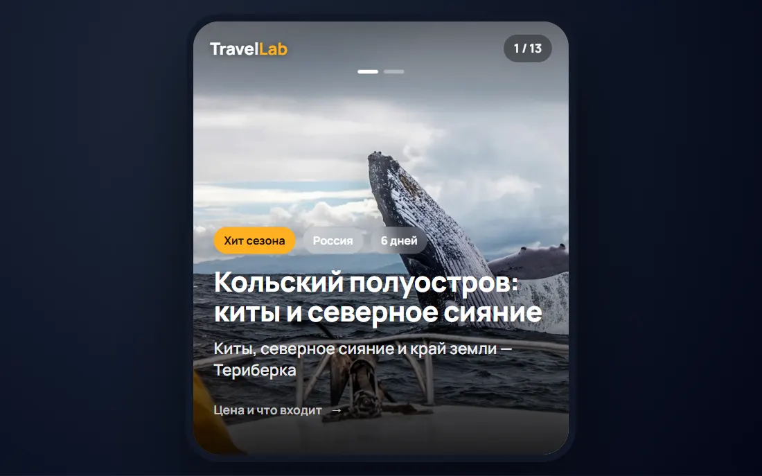 Тур «Кольский полуостров: киты и северное сияние» в формате сторис