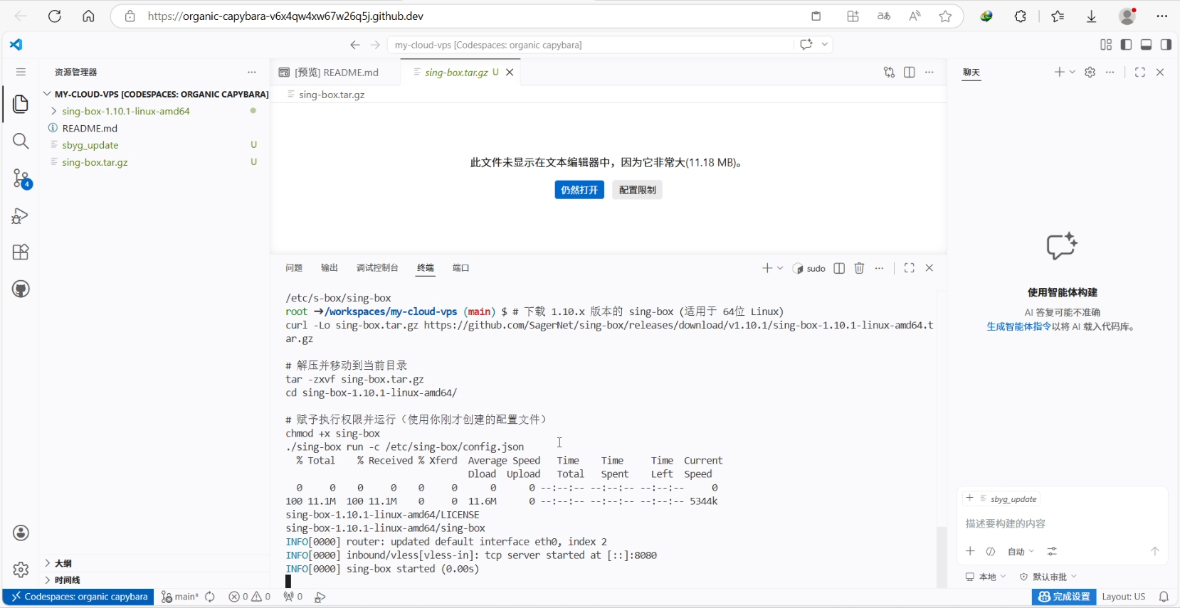 GitHub Codespaces 终端运行 sing-box 脚本成功启动 VLESS 节点服务截图