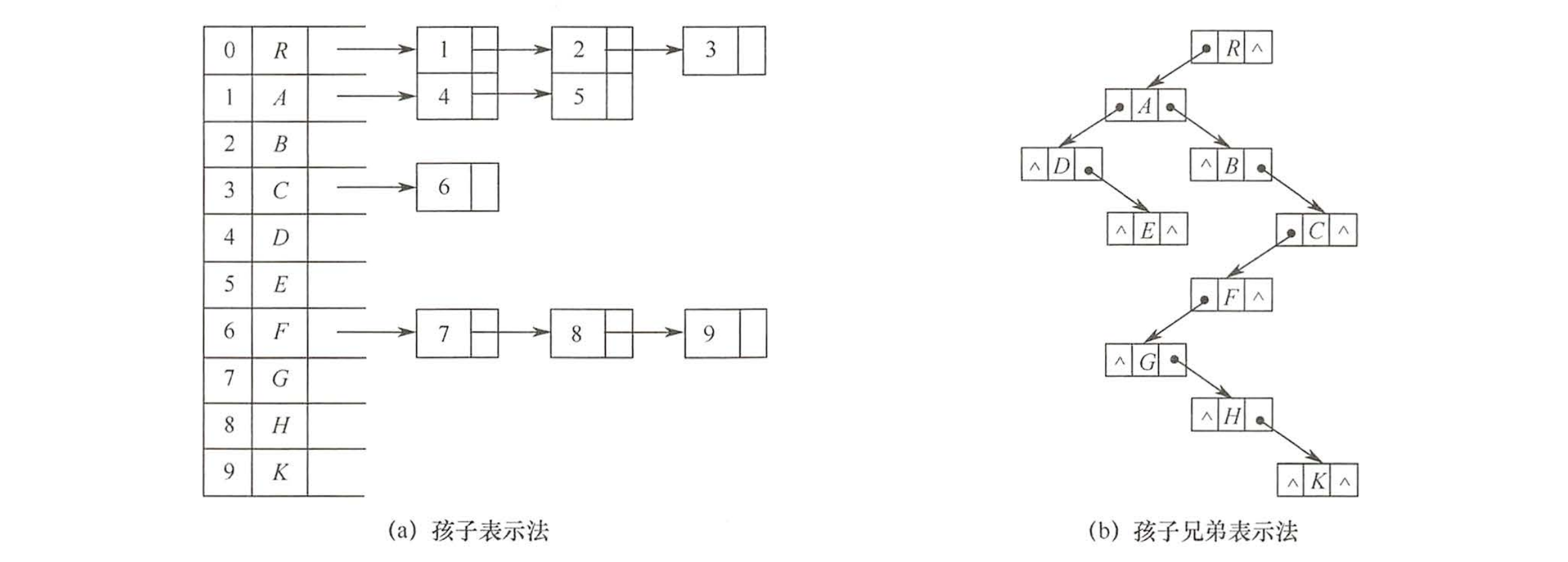 孩子和孩子兄弟表示法