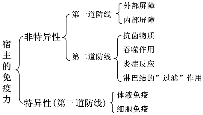 宿主免疫力的三道防线