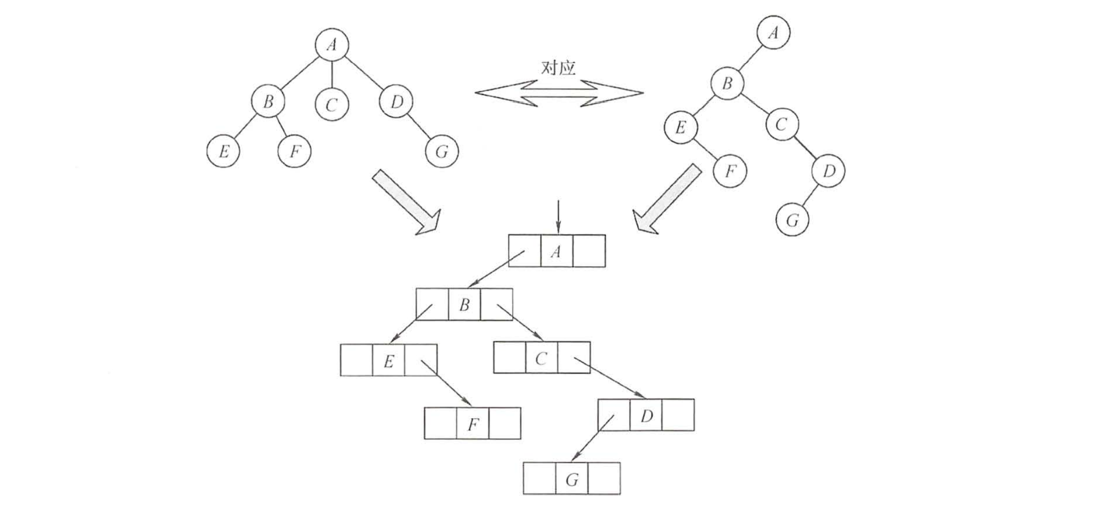 树与二叉树的对应关系