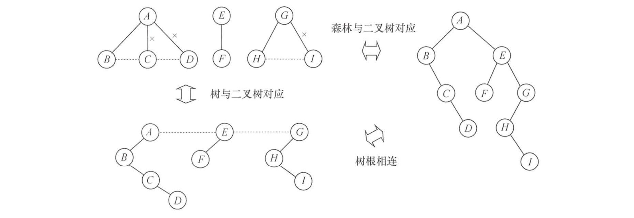 森林与二叉树的对应关系