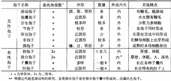 真菌孢子的类型和主要特点