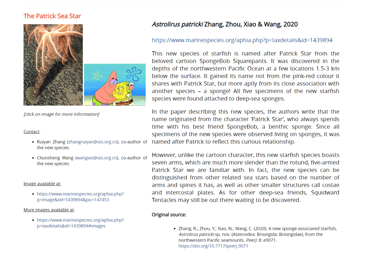 十大海洋新物种