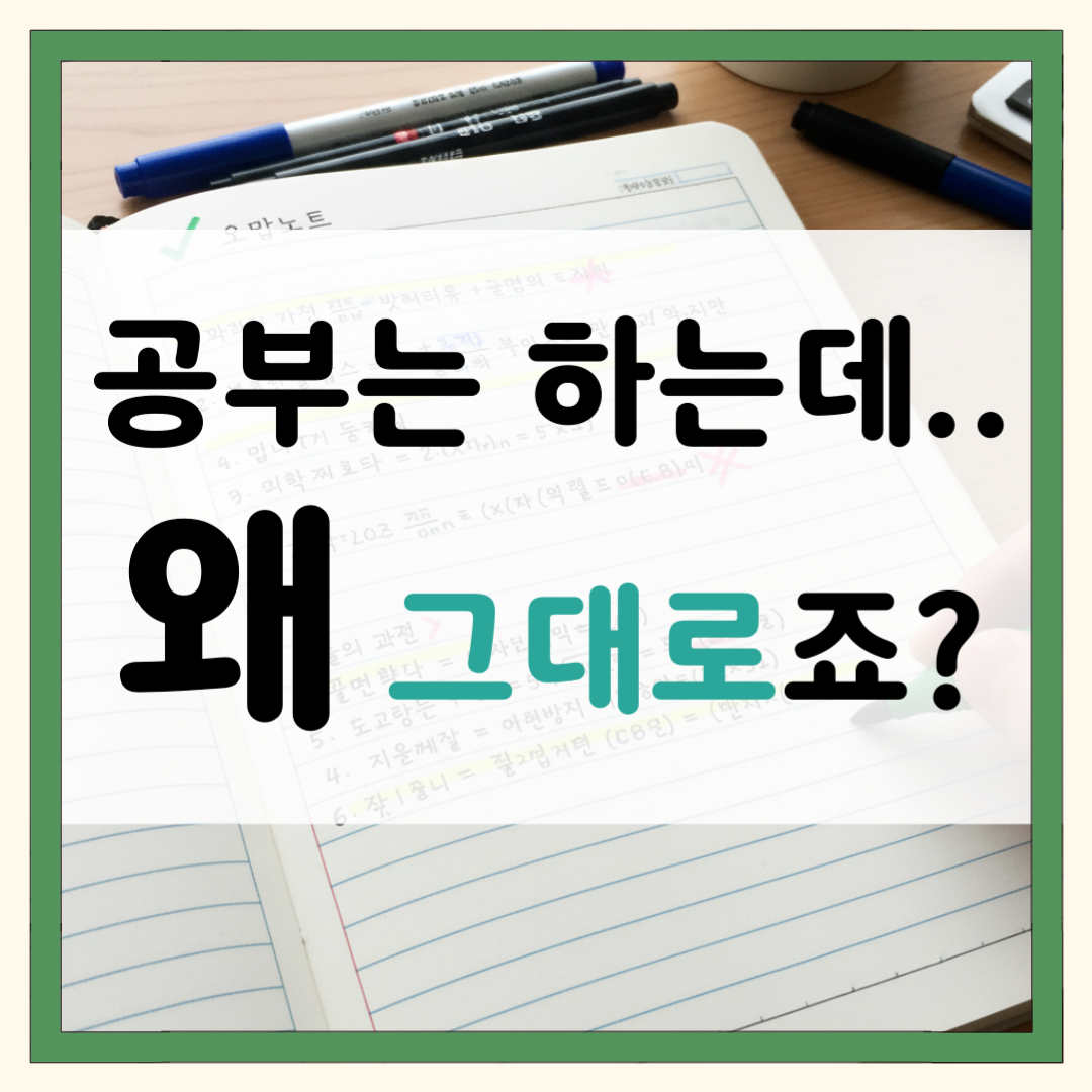 소사본동 초등 중등 고등 국어 영어 수학 사회 과학 1:1 전문과외 안내 이미지