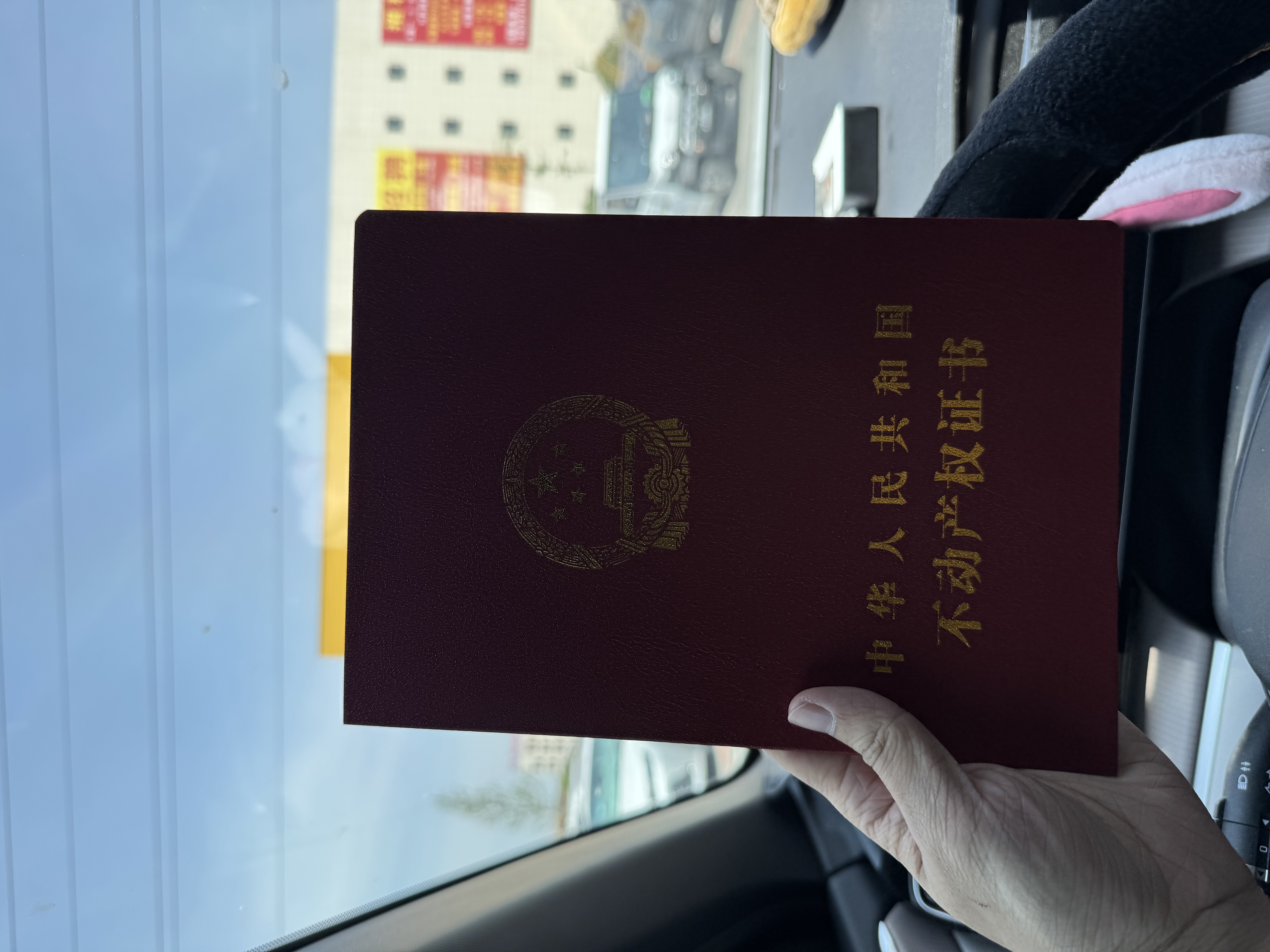 买了个小窝