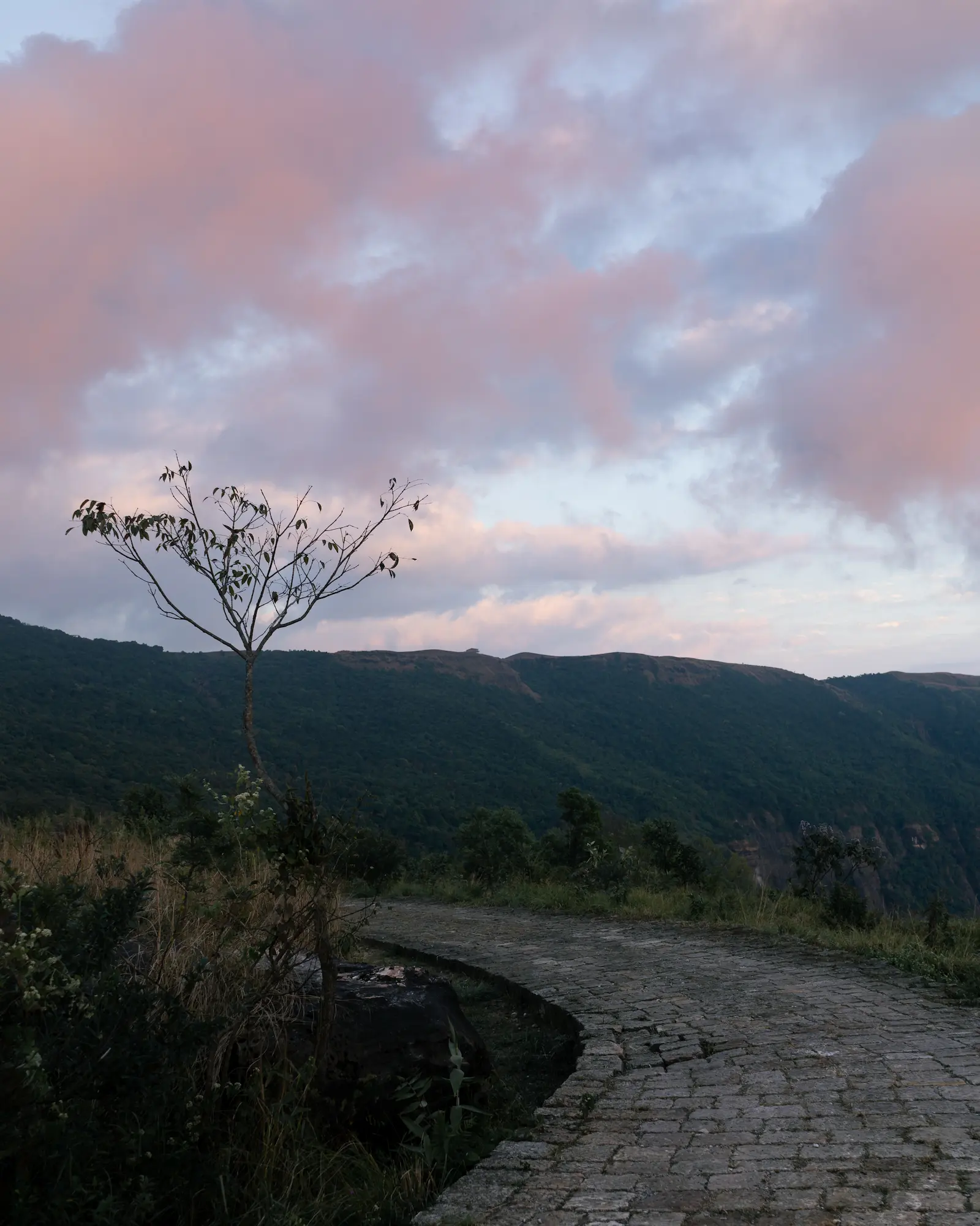 A pathway in Cherrapunji