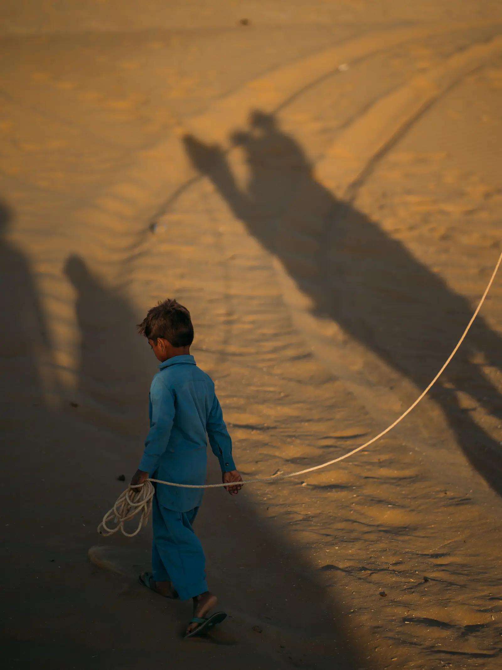 A boy walking a camel, Jaisalmer