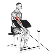cable one arm preacher curl