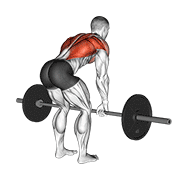 Barbell Bent Over Row — Animated demonstration