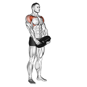weighted front raise