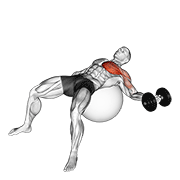 dumbbell one arm chest fly on exercise ball