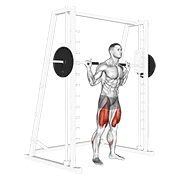 smith low bar squat