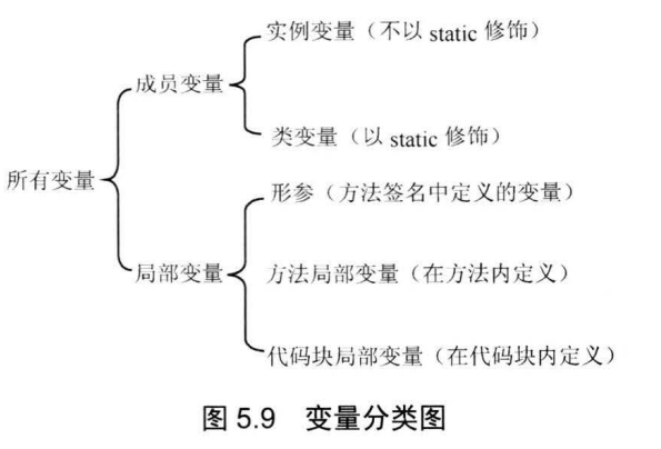 变量分类图