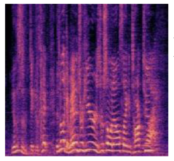 Pasted image 20250828184653