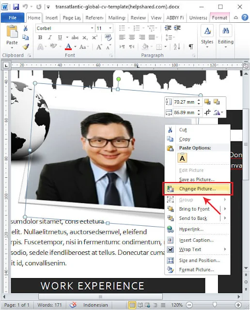edit photo resume cv