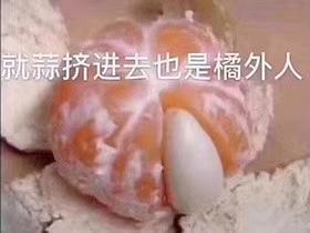 就蒜挤进去也是橘外人.jpg