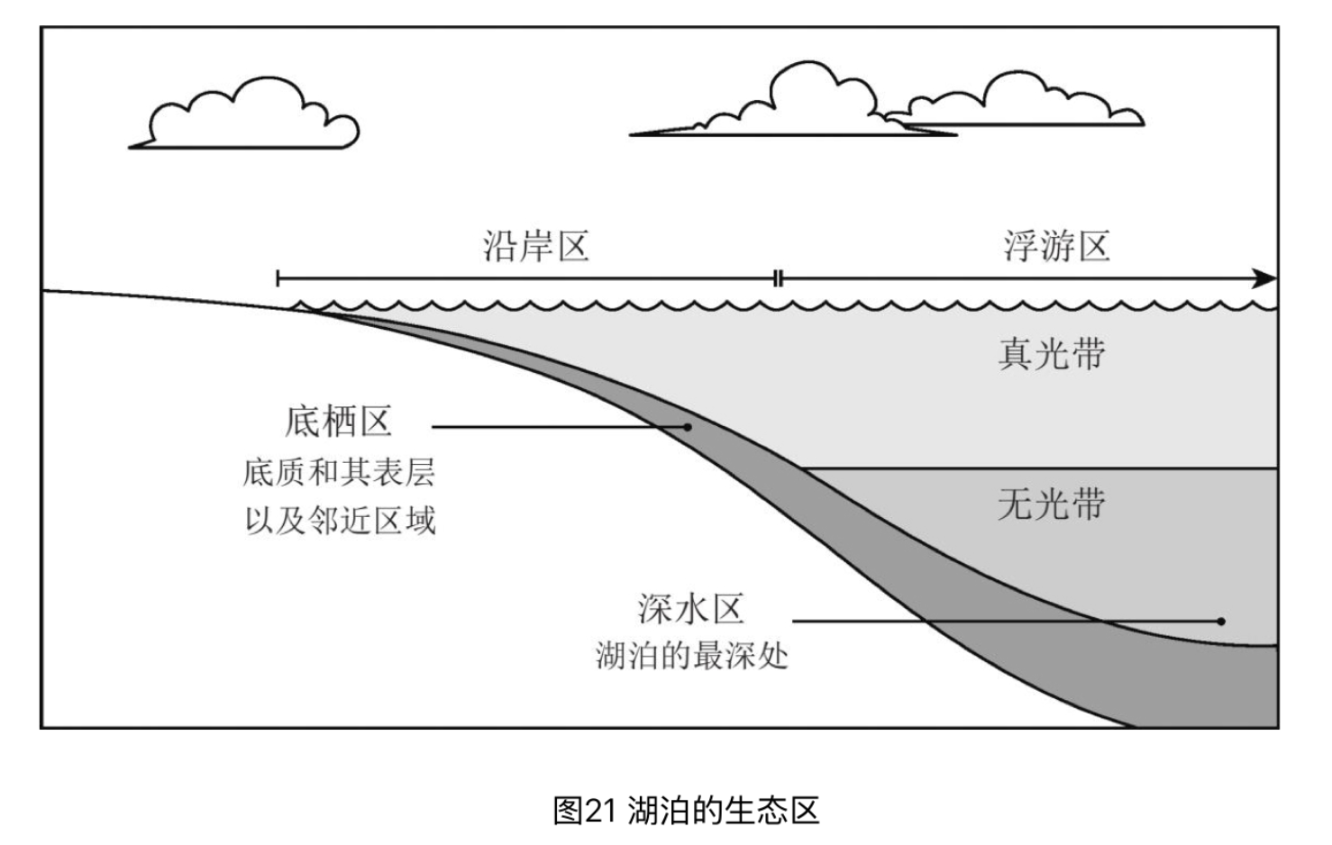 湖水的生态区