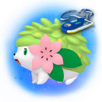 O Pokémon Mítico Shaymin aparecerá na pesquisa especial gratuita! – Pokémon  GO