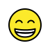 Beaming face with smiling eyes OpenMoji emoji