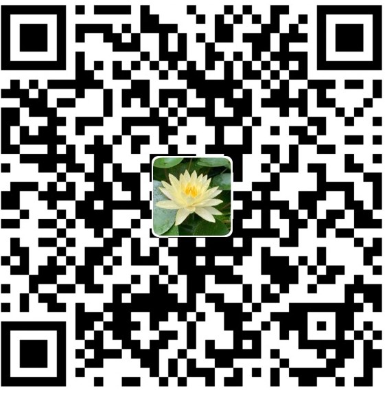 21年10月新番 一个默默无闻的网站