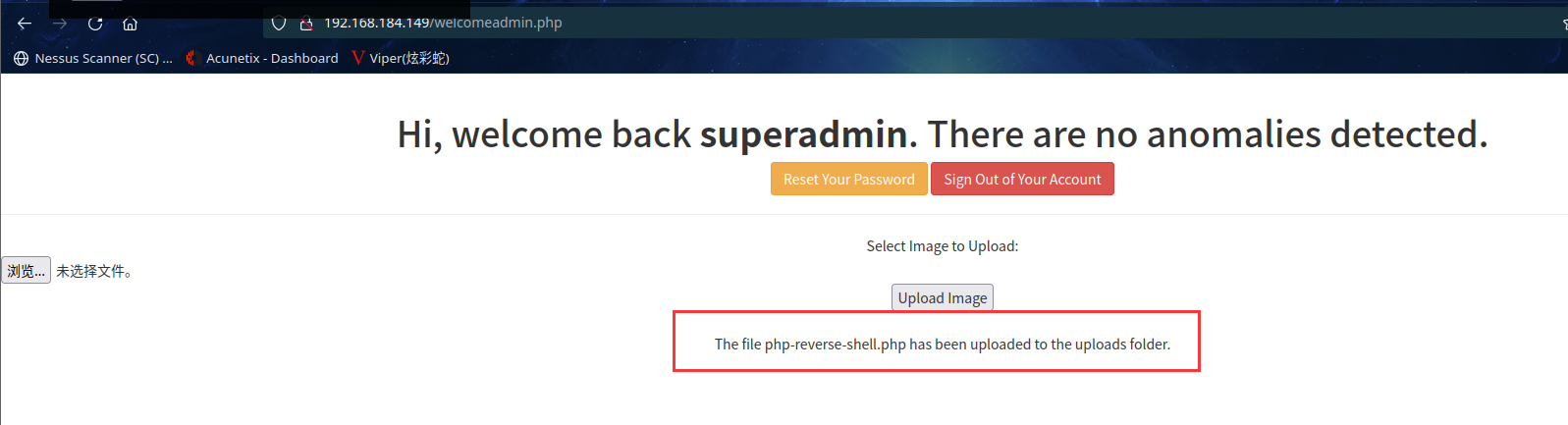 image-20220110173801442