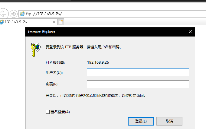 image-20220218171957049