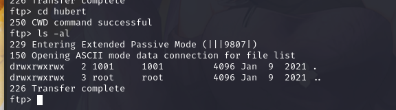 image-20220218174934257