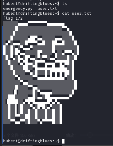 image-20220220153751655