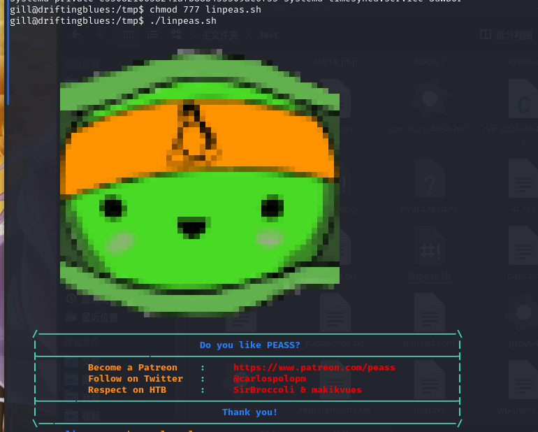 image-20220220163557371