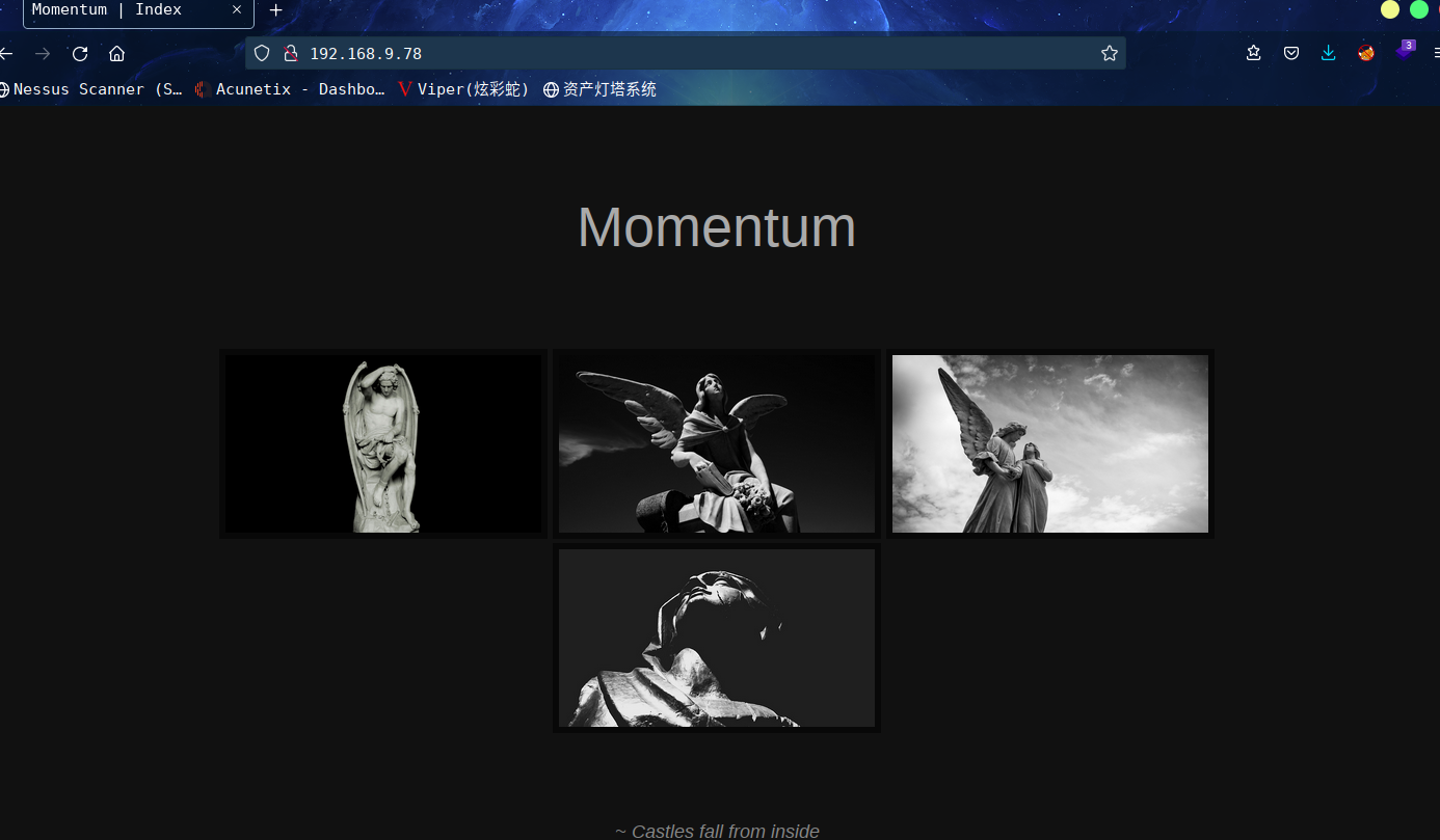 image-20220419164024099