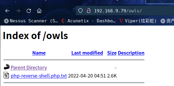 image-20220420165354887