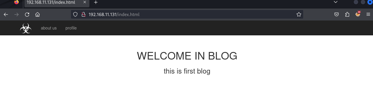 image-20240401155538645