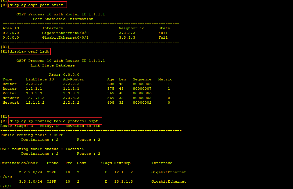R1的邻居&LSDB&路由