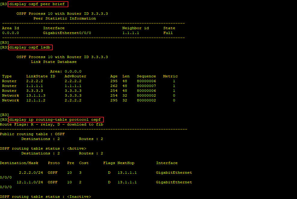 R3的邻居&LSDB&路由