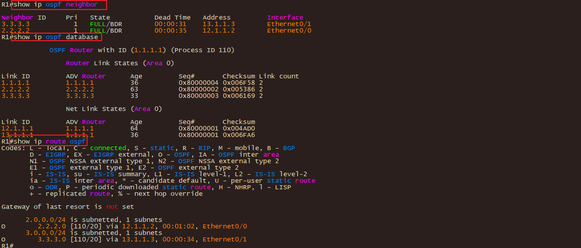 R1的OSPF邻居&DB&路由表